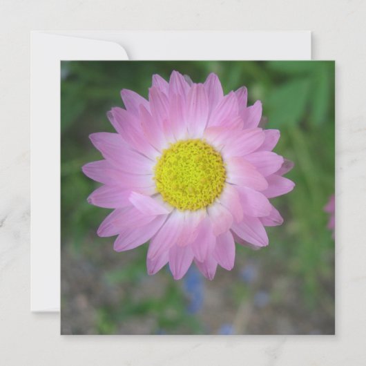 Briefkaart (Voorkant)