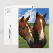 Briefkaart (Voorkant / Achterkant)