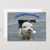 Briefkaart (Voorkant / Achterkant)