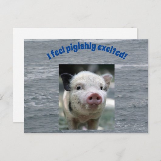 Briefkaart (Voorkant / Achterkant)