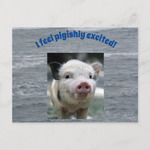 Briefkaart
