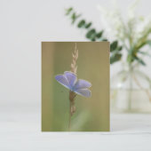 Briefkaart (Staand voorkant)