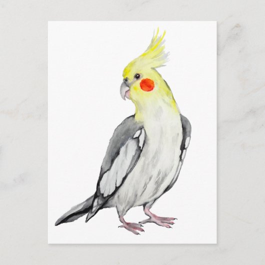 Briefkaart (Voorkant)