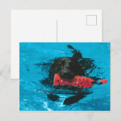 Briefkaart (Voorkant / Achterkant)