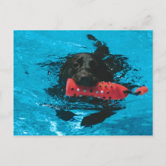 Briefkaart (Voorkant)