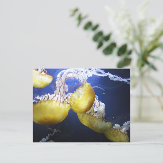 Briefkaart (Staand voorkant)