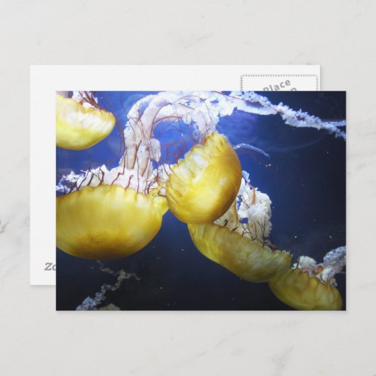 Briefkaart (Voorkant / Achterkant)