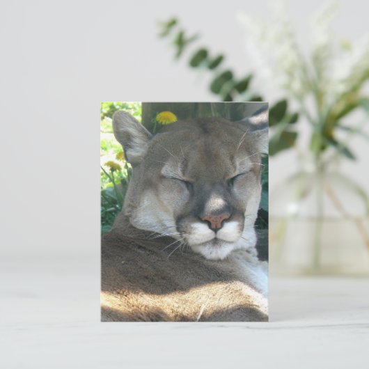 Briefkaart (Staand voorkant)