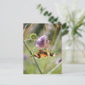 Briefkaart (Staand voorkant)