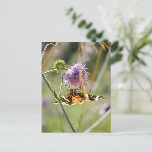 Briefkaart (Staand voorkant)