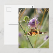 Briefkaart (Voorkant / Achterkant)