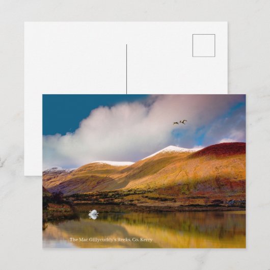 Briefkaart (Voorkant / Achterkant)