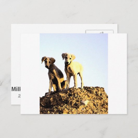 Briefkaart (Voorkant / Achterkant)