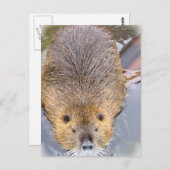 Briefkaart (Voorkant / Achterkant)