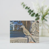 Briefkaart (Staand voorkant)