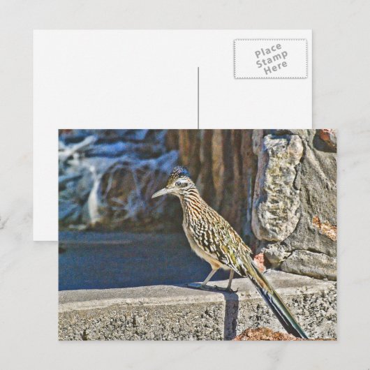 Briefkaart (Voorkant / Achterkant)