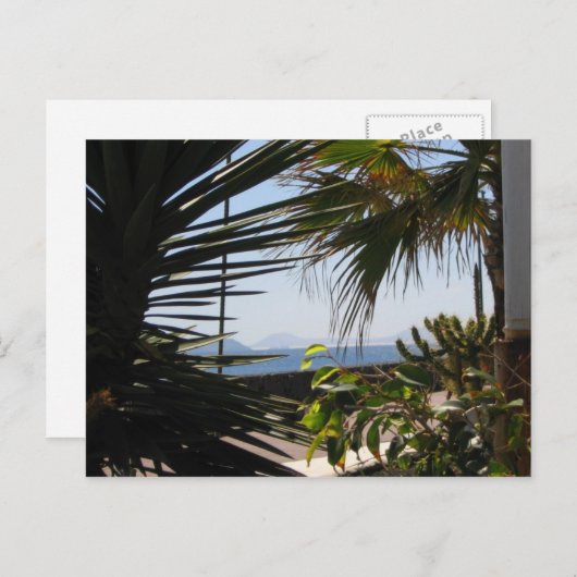 BRIEFKAART (Voorkant / Achterkant)