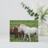 Briefkaart (Staand voorkant)