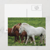 Briefkaart (Voorkant / Achterkant)