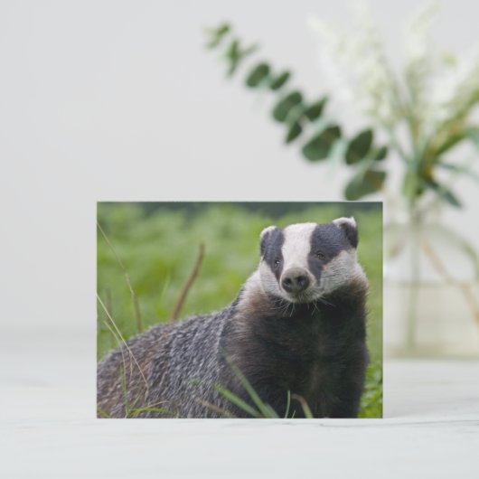 Briefkaart (Staand voorkant)