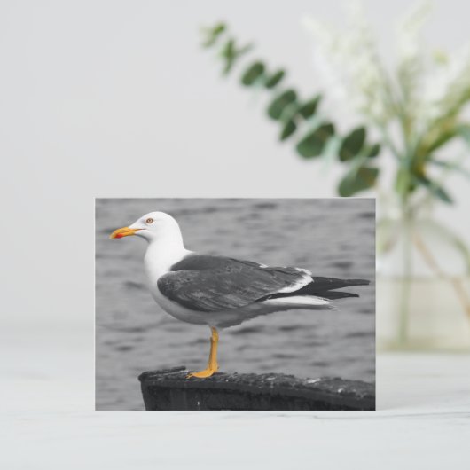 Briefkaart (Staand voorkant)