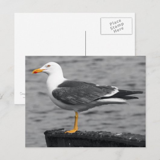 Briefkaart (Voorkant / Achterkant)