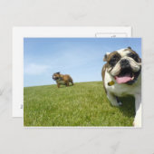 Briefkaart (Voorkant / Achterkant)