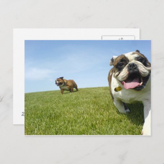 Briefkaart (Voorkant / Achterkant)