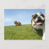 Briefkaart (Voorkant)