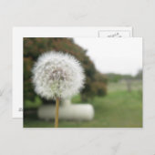 briefkaart (Voorkant / Achterkant)