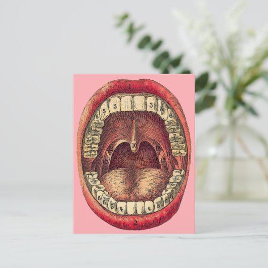  Briefkaart (Staand voorkant)