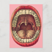  Briefkaart (Voorkant)