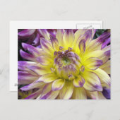 Briefkaart (Voorkant / Achterkant)