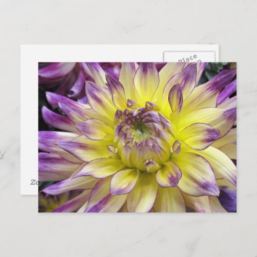 Briefkaart (Voorkant / Achterkant)