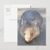 Briefkaart (Voorkant / Achterkant)