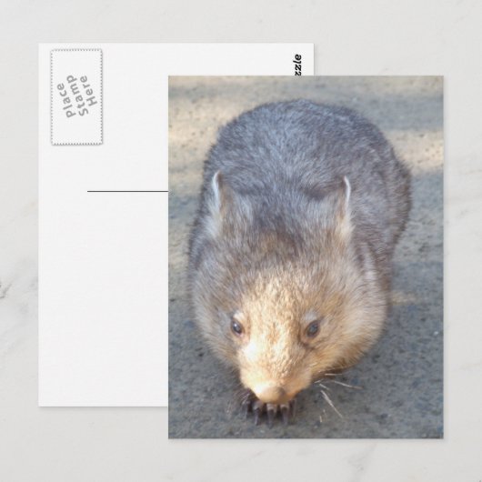 Briefkaart (Voorkant / Achterkant)