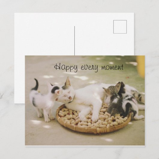 briefkaart (Voorkant / Achterkant)