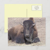 briefkaart (Voorkant / Achterkant)