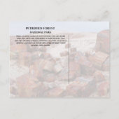 Briefkaart (Achterkant)