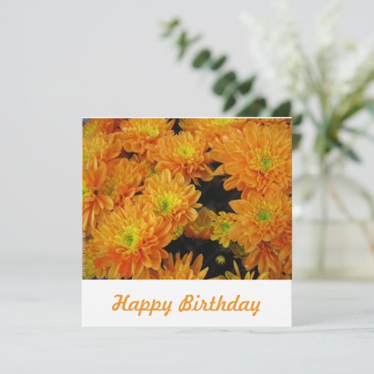 Briefkaart (Staand voorkant)