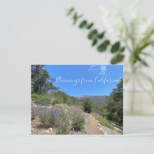 Briefkaart (Staand voorkant)