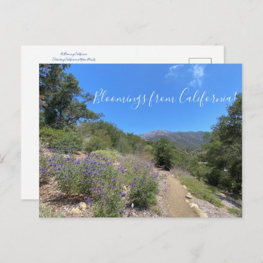 Briefkaart (Voorkant / Achterkant)