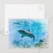 Briefkaart (Voorkant / Achterkant)