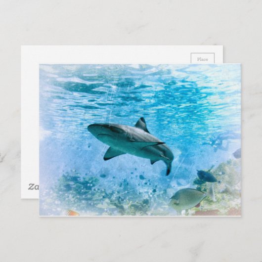  Briefkaart (Voorkant / Achterkant)