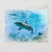  Briefkaart (Voorkant)