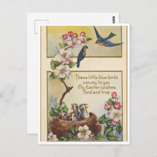 Briefkaart (Voorkant / Achterkant)