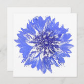 Briefkaart (Voorkant / Achterkant)