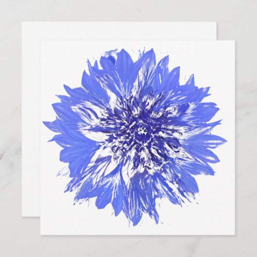 Briefkaart (Voorkant / Achterkant)