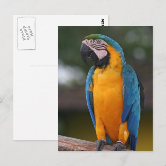 Briefkaart (Voorkant / Achterkant)