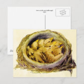 Briefkaart (Voorkant / Achterkant)